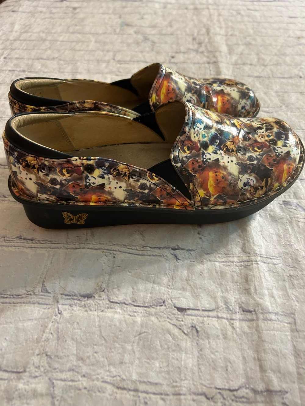 ALEGRIA DEB 7512 LEATHER LINING PROFESSIONAL SLIPON PAWS UP DOGS & CATS SHOES 40